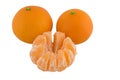 Tangerine, Satsuma or Mandarin Oranges