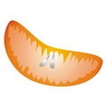 Tangerine segment Royalty Free Stock Photo