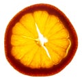 Tangerine Slice