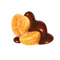 Tangerine slices in chocolate sauce Royalty Free Stock Photo