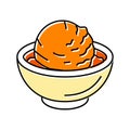tangerine sorbet food snack color icon vector illustration