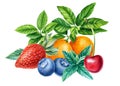 Tangerine, sweet cherry, blueberry and Strawberry, watercolor illustration, fruits and berries