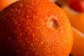 tangerine with water drops from very close