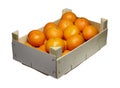 Tangerines Royalty Free Stock Photo