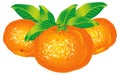 Tangerines