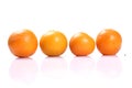 Tangerines