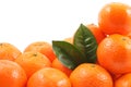 Tangerines