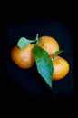 Tangerines against a black background Royalty Free Stock Photo