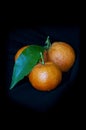 Tangerines against a black background Royalty Free Stock Photo