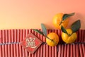 Tangerines and auspicious ornament on firecrackers Royalty Free Stock Photo
