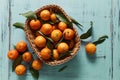 Tangerines Royalty Free Stock Photo