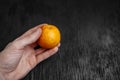 Tangerines on a black background. Lots of fresh fruit - mandarins. Royalty Free Stock Photo