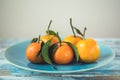 Tangerines on a blue plate with leaves