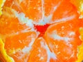 Tangerines bright orange snow Royalty Free Stock Photo