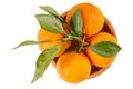 Tangerines, clementine citrus fruits with leaves in wooden bowl isolated on white. Top view Royalty Free Stock Photo