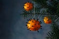 Tangerines with cloves as coronavirus omicron variant symbol hanging on a fir tree as Christmas decoration, holiday with covid-19