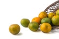 Tangerines, fresh mandarin oranges, citrus fruits on white Royalty Free Stock Photo