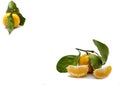 Tangerines fruits with mandarin leaves and slices isolated on a white background. Royalty Free Stock Photo