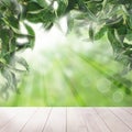 Tangerines garden and wooden table with sunlight. Concept with mandarin leaves