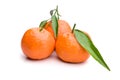 3 tangerines with green stuff Royalty Free Stock Photo