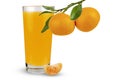 Tangerines hang on a branch against the background of a glass with juice. Isolate