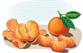 Tangerines, leaning against a table one peeled