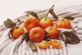 Tangerines with leaves lie on a striped towel