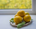 Tangerines with leaves on a silver or metal tray or platter on a white window sill Royalty Free Stock Photo