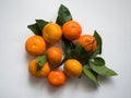Tangerines with leaves on a white background