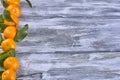 Tangerines with leaves on a wooden background Royalty Free Stock Photo