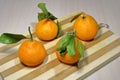 Tangerines with leaves on a wooden board on the table.