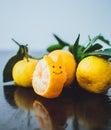 Tangerines with leaves on a wooden table. shaped cochlea