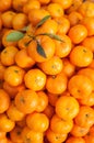 Tangerines oranges Royalty Free Stock Photo