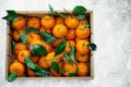 Tangerines oranges, clementines, citrus fruits with green leaves in a wooden box over light background with copy space Royalty Free Stock Photo