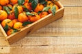 Tangerines oranges, clementines, citrus fruits with green leaves in a wooden box over light wooden background with copy space Royalty Free Stock Photo