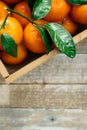 Tangerines oranges, clementines, citrus fruits with green leaves in a wooden box over light wooden background with copy space Royalty Free Stock Photo