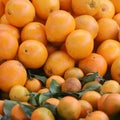 Tangerines and oranges fruit vegetables food vegetarian Royalty Free Stock Photo