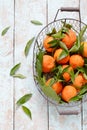 Tangerines oranges, mandarins, clementines, citrus fruits with leaves in basket on Gray background. Mandarin oranges