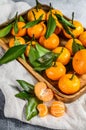 Tangerines oranges, mandarins, clementines, citrus fruits with leaves in wooden bowl. Gray background. Top view Royalty Free Stock Photo