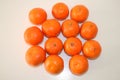 Tangerines outlined in a circle on a white background