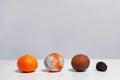 Tangerines. Ripe orange tangerine and moldy and dried tangerines on white background