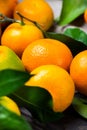 Tangerines