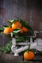 Tangerines on scales Royalty Free Stock Photo