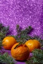 Tangerines, three pieces, lie between the branches of a Christmas tree, on a lilac background with beautiful bokeh from the stars