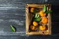 Tangerines on a wooden tray ,top view. Juicy fruits on the wooden table.