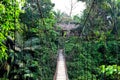 Tangkahan bridge on the Buluh River