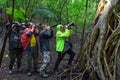 Group of photographers-tourists take pictures Tarsiers