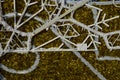 A tangle of Christmas decorative chains surrounds the wire skeletons of reindeer and sleighs. technology of fastening on stainless Royalty Free Stock Photo