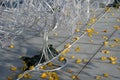 A tangle of Christmas decorative chains surrounds the wire skeletons of reindeer and sleighs. technology of fastening on stainless Royalty Free Stock Photo