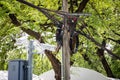 Tangle of Electrical cables and Communication wires on electric pole with CCTV Camera and tree Royalty Free Stock Photo